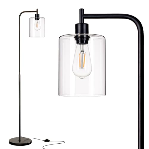 Sleek Black Floor Lamp with Glass Shade