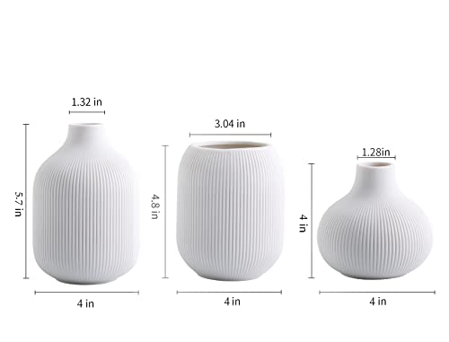 Set of 3 Minimalist White Ceramic Vases