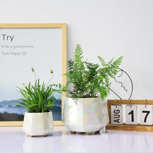 Minimalist Ceramic Plant Pots with Drainage Holes