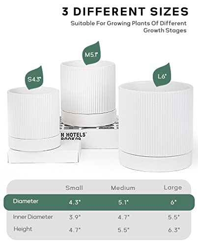 Modern Ceramic Plant Pots with Drainage - Set of 3