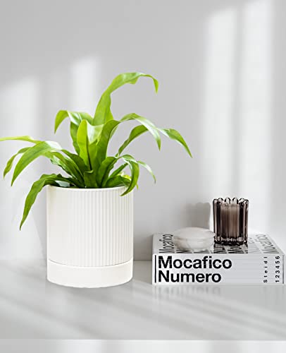 Modern Ceramic Plant Pots with Drainage - Set of 3