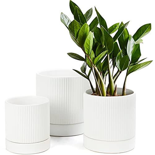 Modern Ceramic Plant Pots with Drainage - Set of 3