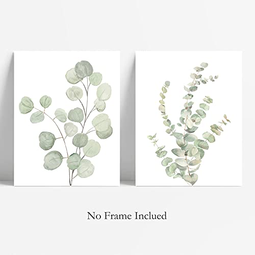 Boho Eucalyptus Wall Art Set - Minimalist Decor