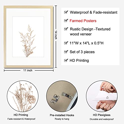 Framed Minimalist Botanical Wall Art Prints