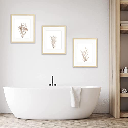 Framed Minimalist Botanical Wall Art Prints