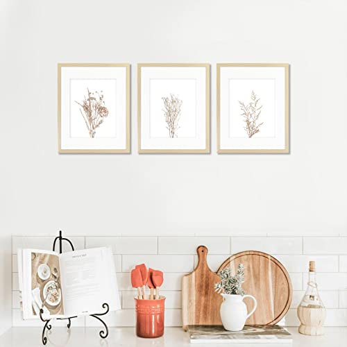 Framed Minimalist Botanical Wall Art Prints