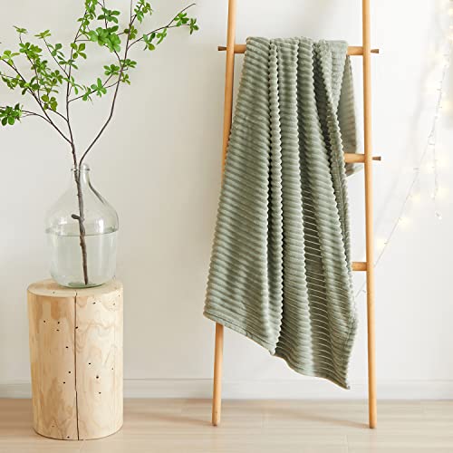 Sage Green Minimalist Throw Blanket, 50x60 inches