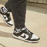 Nike Dunk Low Retro Men’s Basketball Shoes