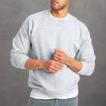 Hanes Men's EcoSmart Sweatshirt, ash, Large
