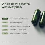 Seed DS-01 Daily Synbiotic - Prebiotic and Probiotic for Women & Men - Digestive Health, Gut Health, Immune Support, Bloating & Constipation Relief - Vegan & Shelf-Stable - 60 Capsules (30-Day Supply)