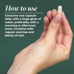 Primal Harvest Primal Multivitamin - Daily Multi-Vitamin Supplement with 21 Essential Vitamins & Minerals for Women & Men - Vitamin A, C, D, E, B12, B6, Biotin, Folic Acid, Zinc, Copper & Selenium