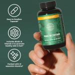 Primal Harvest Primal Multivitamin - Daily Multi-Vitamin Supplement with 21 Essential Vitamins & Minerals for Women & Men - Vitamin A, C, D, E, B12, B6, Biotin, Folic Acid, Zinc, Copper & Selenium