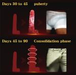 MED3000 Gold Enlargement Cream with Horny Goat Weed – Men' Gel Size Booster & Volume Enhancer