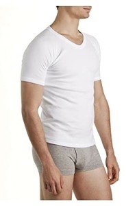 Bonds Men's Cotton Blend V-Neck T-Shirt - White