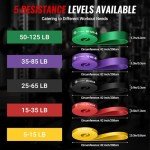 LI FITNESS Heavy Duty Resistance Bands Set of 5