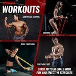 LI FITNESS Heavy Duty Resistance Bands Set of 5