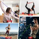 LI FITNESS Heavy Duty Resistance Bands Set of 5