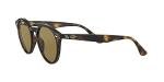 Ray-Ban Unisex RB2180 Round Sunglasses, Light Havana/Dark Brown, 49 mm