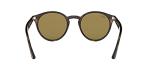 Ray-Ban Unisex RB2180 Round Sunglasses, Light Havana/Dark Brown, 49 mm