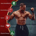 Resistance Bands with Handles for Home Workouts