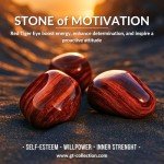 Men's Red Tiger Eye Adjustable Bead Bracelet