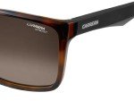 Carrera Men's 5039/S Havana Matte Black Sunglasses