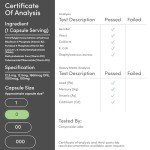 Methylated B Complex Multivitamin - 120 Capsules