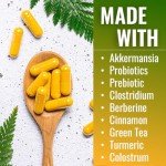 Vitamatic GLP-1 Support Supplement - 60 Capsules