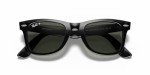 Ray-Ban Wayfarer Polarised Sunglasses - Black Green