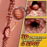 Realistic Male Masturbator with Testicles and Hips