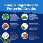 Men's Prostate Support Supplement with Saw Palmetto 90 Capsules