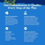 Men's Prostate Support Supplement with Saw Palmetto 90 Capsules