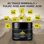 Organic Gold Grade Shilajit Resin - 800mg