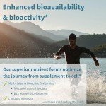 Powerful Vegan Men's Daily Multivitamin for Energy