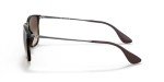 Ray-Ban Chris Sunglasses, Havana & Brown Gradient