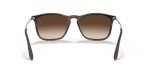 Ray-Ban Chris Sunglasses, Havana & Brown Gradient