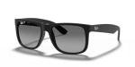 Ray-Ban Justin Polarized Sunglasses - Black & Grey