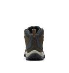 Columbia Men's Newton Ridge Plus Hiking Boot