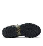 Columbia Men's Newton Ridge Plus Hiking Boot