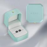 Black Moissanite Halo Stud Earrings for Men