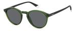 Polaroid Men's Green PLD 4153/S Sunglasses