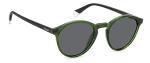 Polaroid Men's Green PLD 4153/S Sunglasses