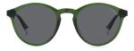 Polaroid Men's Green PLD 4153/S Sunglasses