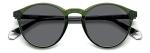 Polaroid Men's Green PLD 4153/S Sunglasses