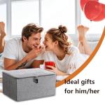 Locking Game Toy Storage Organizer for Adults