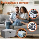 Locking Game Toy Storage Organizer for Adults