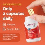 Men’s Motility Support Supplement – 60 Capsules