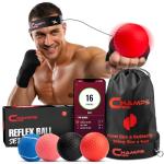 Champs MMA Boxing Reflex Ball Set for Speed