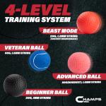 Champs MMA Boxing Reflex Ball Set for Speed