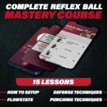 Champs MMA Boxing Reflex Ball Set for Speed